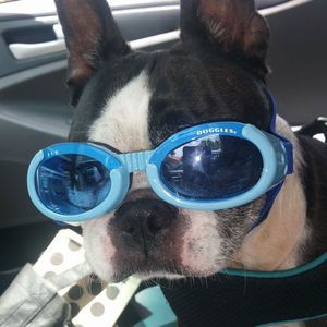 Meet your Posher, Hillary